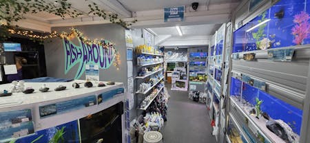5 High Street, Hailsham, Investment / Office / Residential / Retail / Retail - In Town For Sale - 20260129_112222.jpg