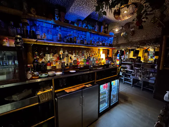Tiki Bar & Darts Den, 214 Bath Street, Glasgow For Sale - IMG_1664.jpg