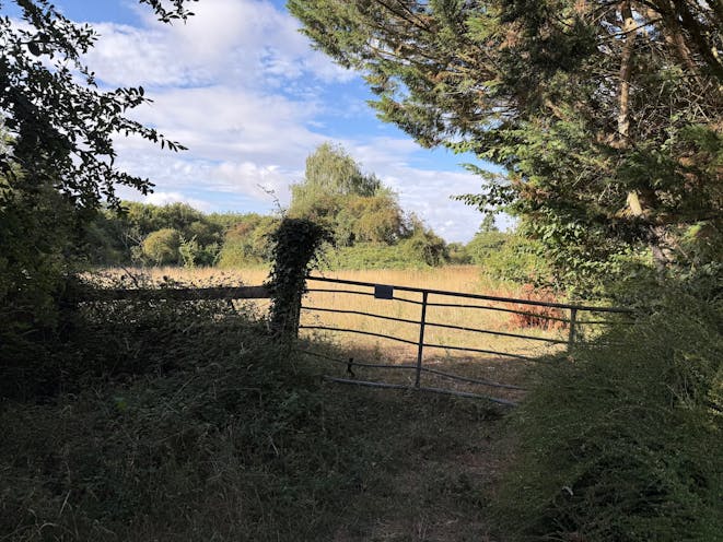 Land to the South West Side of Court Drove, Basingstoke, Residential For Sale - Pic 2  View of the entrance to the site looking west
