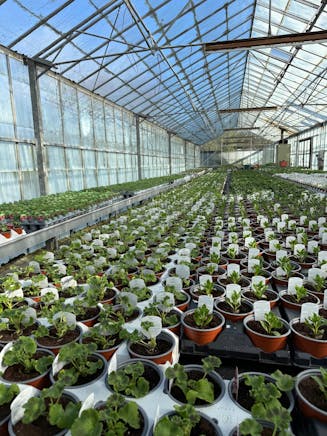 Benston Nursery, Mauchline For Sale - 0200bd33-303b-40d8-81fe-45f353544fd1.JPG