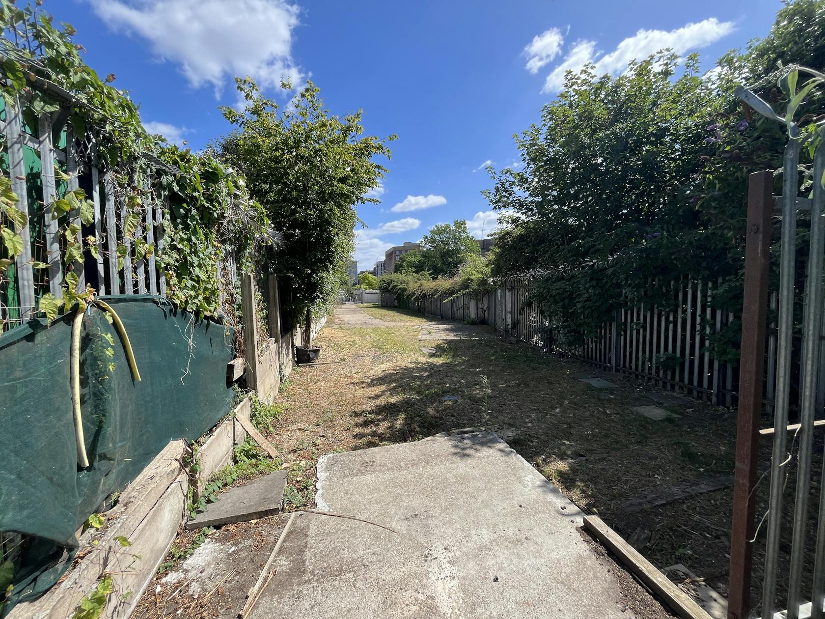 2 Wick Lane, London, Leisure / Education / Health & Fitness / Sui Generis (other) / Restaurant / Retail / Open Storage Land / Warehouse & Industrial To Let - IMG_5689 20240704 18_34_13.JPG