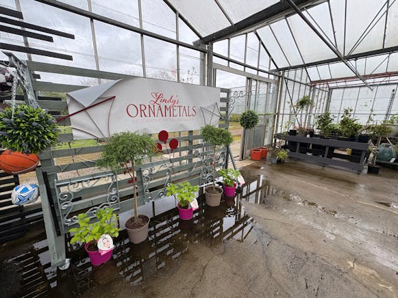 Benston Nursery, Mauchline For Sale - tempImage9sXHcD.jpg