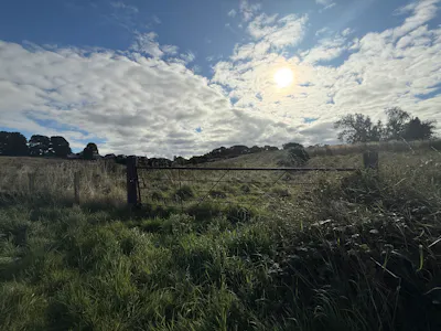 Land by Banton Road, By Banton Mill, Near Kilsyth, Agriculture Land To Let - 20260909_084752872_iOS.jpg