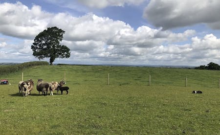 Land at Longcroft Retirement Village, Yeovil, Development For Sale - 7.jpg