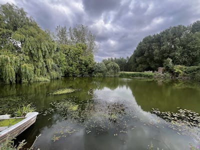Billinghay Sawmill, Wood Yard, Lincoln, Industrial / Warehouse For Sale - IMG_2171.jpg