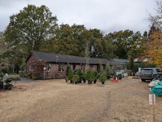 Leydens Garden Nursery, Edenbridge, Leisure / Retail For Sale - PXL_20241029_143248930.jpg