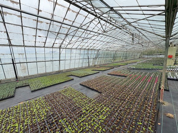 Benston Nursery, Mauchline For Sale - tempImagedYBfZG.jpg