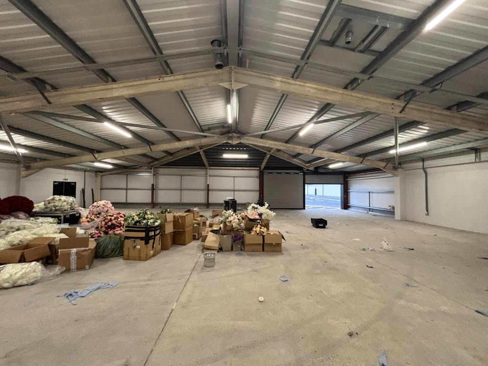 Unit 13, Festival Park - IMG_6702.jpeg