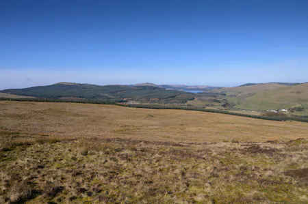 Land at Darrach Hill, Denny, Agriculture Land / Environmental / Farm / Land For Sale - DarrachHill-24.jpg