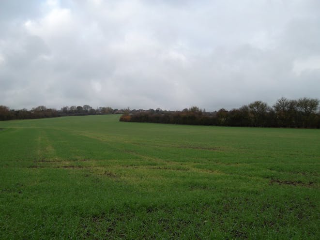 Land To The North Side Of East Claydon Road, Buckingham, Development / Residential For Sale - View from within the property looking north