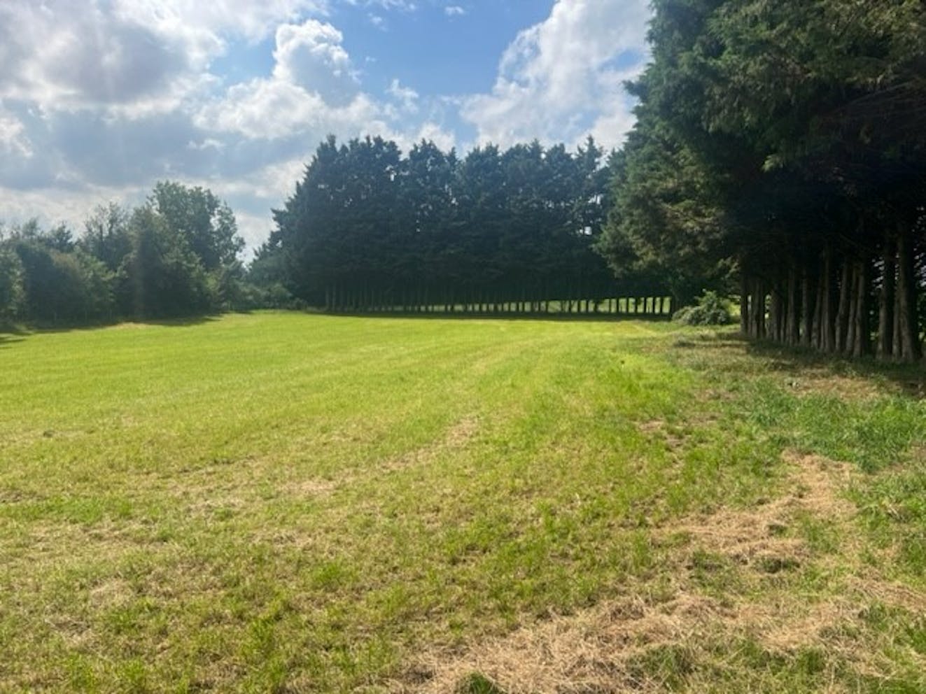 Land at Manor Field, Reading, Development / Residential For Sale - View from within Parcel 2 looking south