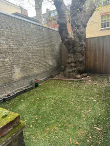 8 Wimpole Street, London, Office To Let - WhatsApp Image 2026-04-01 at 15.42.56.jpeg