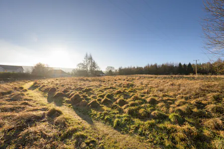Land in Dolphinton, Carmaben Brae, West Linton, Agriculture Land / Development / Development Land / Development Potential / Residential Development / Development Site / Land / Land (Green Field) For Sale - South west