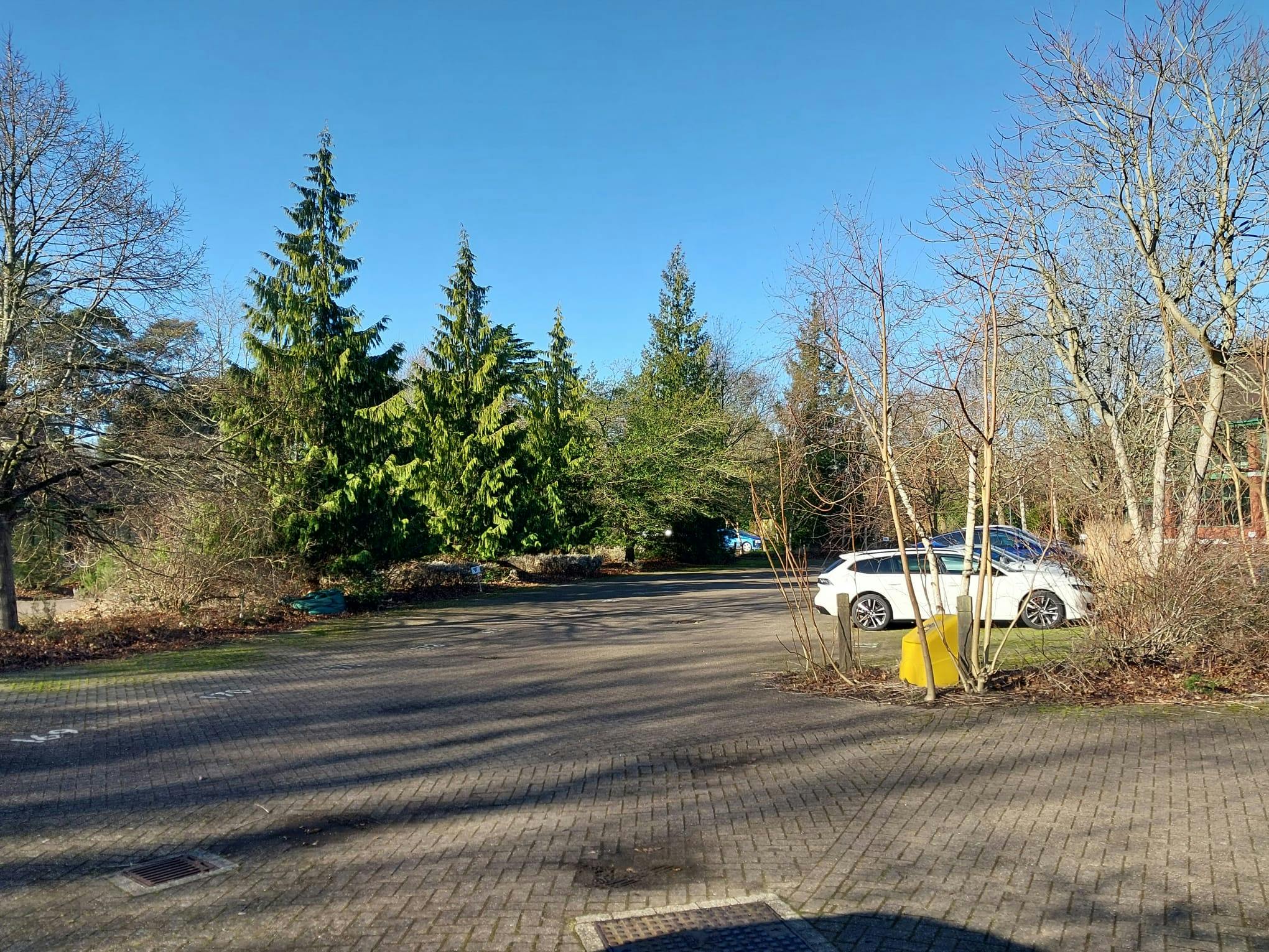 Unit D, Silwood Park, Ascot, Offices To Let - IMG20250130WA0006.jpg