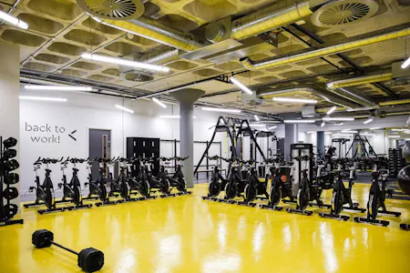 Norfolk House, Milton Keynes, Office To Let - Gym