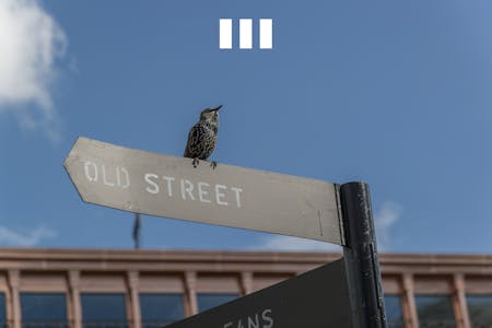 8 City Road, Moorgate, London, EC1, London, Office To Let - 8 City Road  Urban Street Signage With Perched Bird.jpg