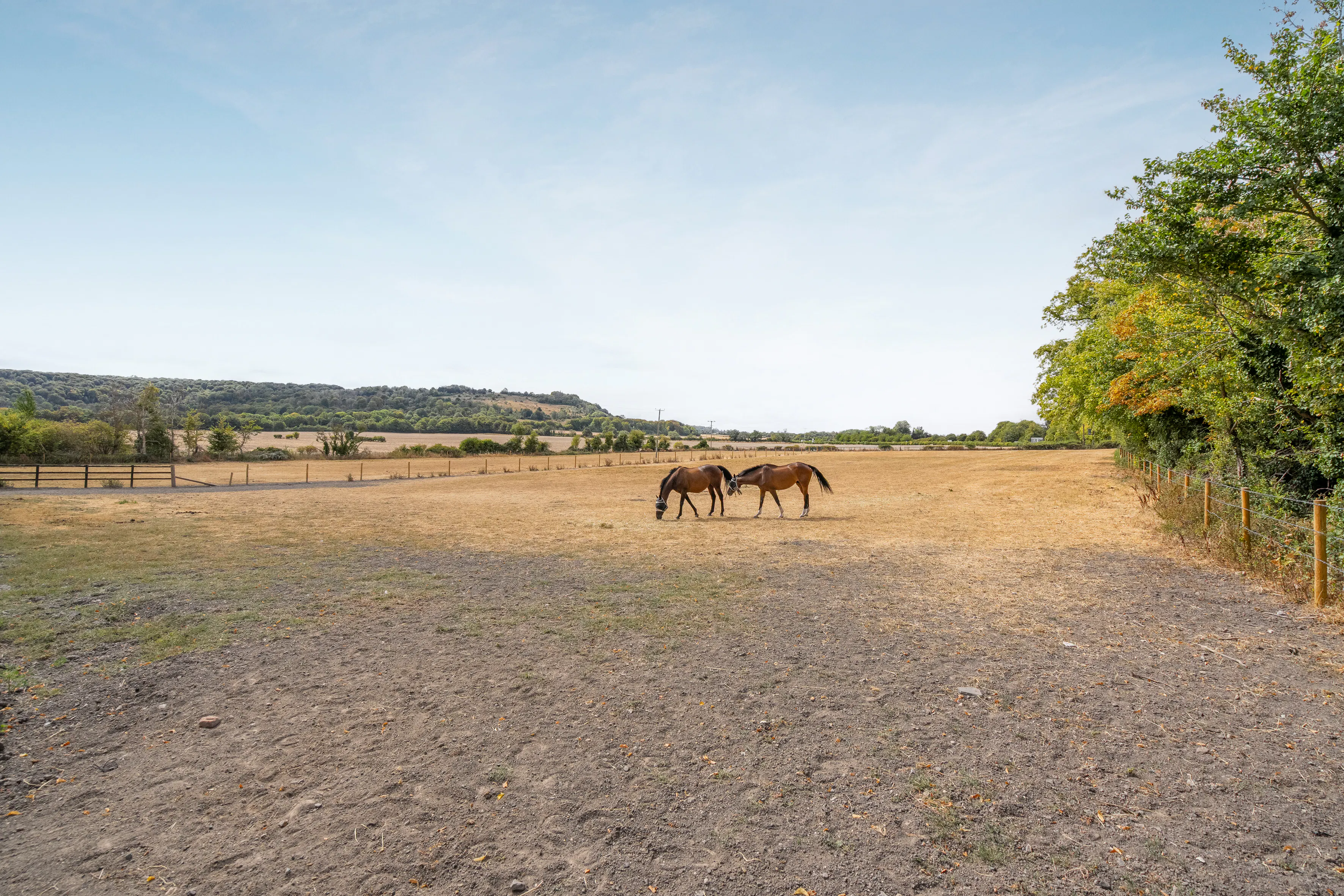 Land at Woodway Farm, Woodway Farm, Watlington, Land / Other / Residential For Sale - Woodway Farm-7.jpg