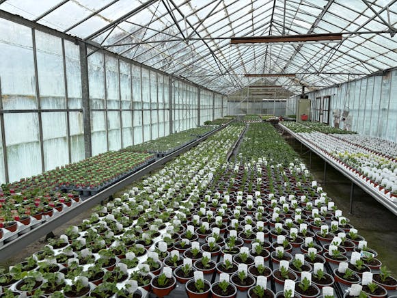 Benston Nursery, Mauchline For Sale - tempImage0IrUYT.jpg