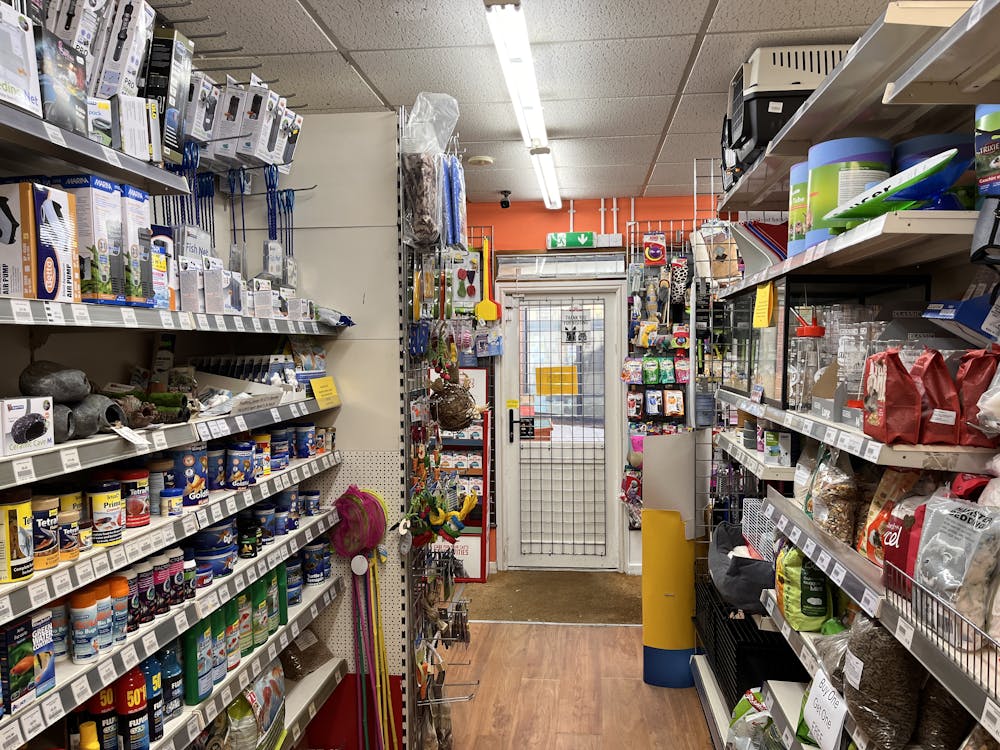 18 St. Marks Lane - IMG_3721.JPG