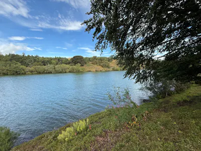 Den of Ogil Reservoir, By Glenquiech, Glenogil, Investment / Land For Sale - 20260820_103739529_iOS.jpg